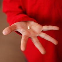 Hand holding extracted tooth